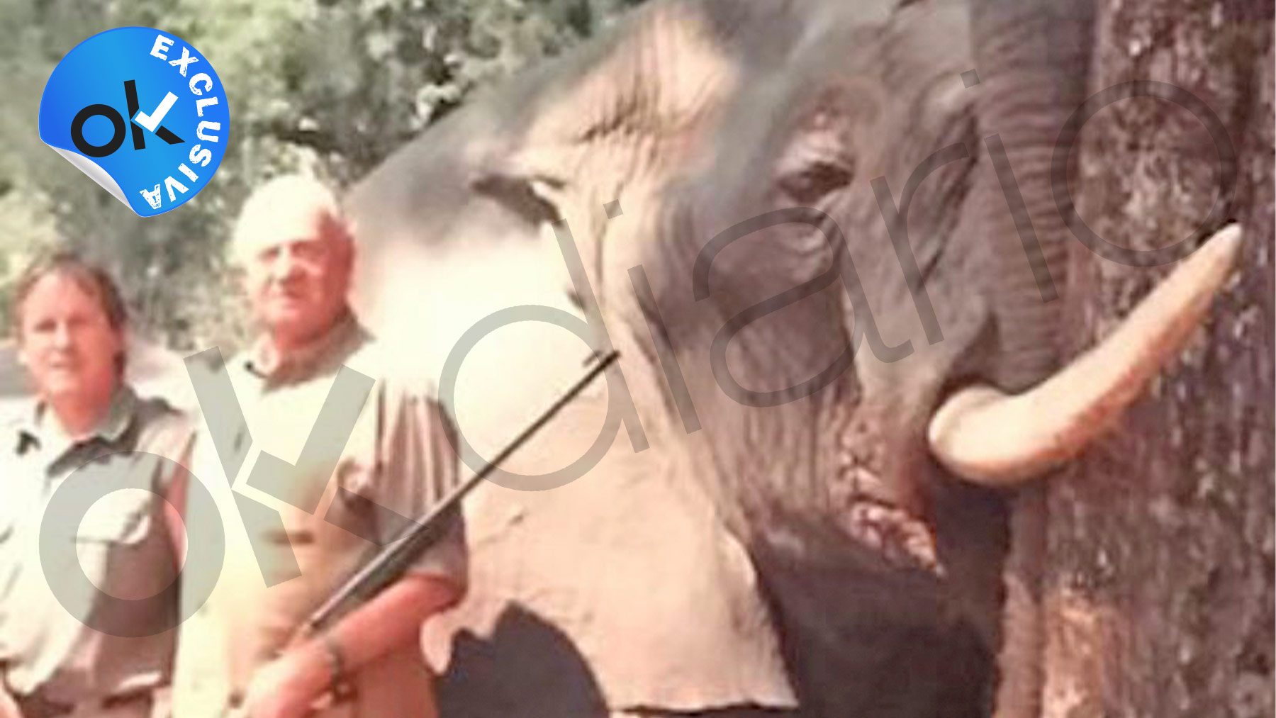 El Rey Juan Carlos junto al elefante