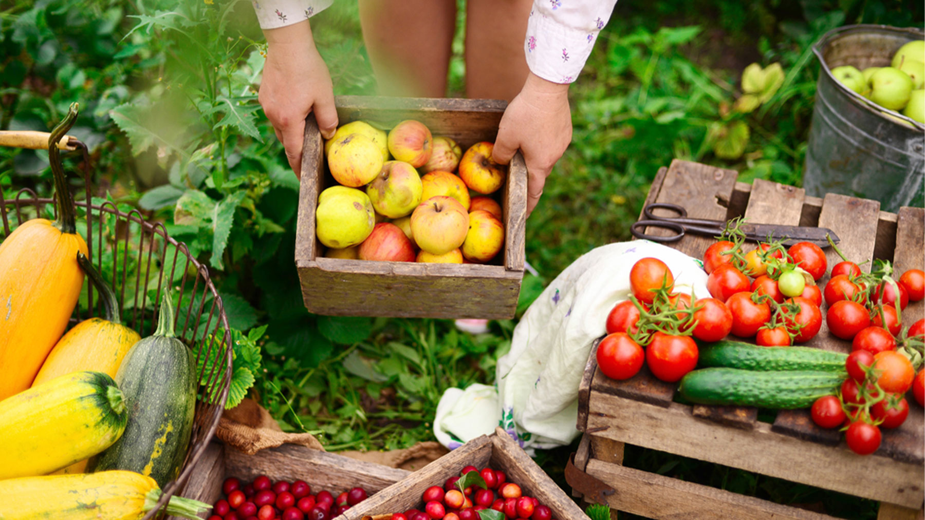 La tendencia se inclina a una alimentación fresca, nutritiva y neutra en carbono.