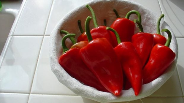 Pimientos del piquillo