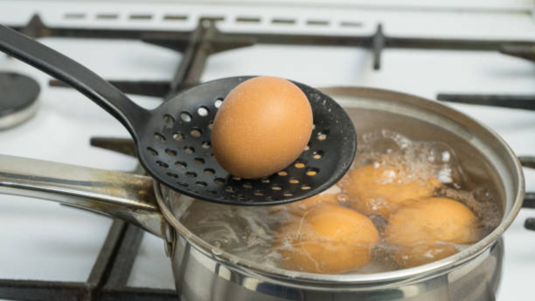 Descubre la razón para no hervir huevos que están fríos