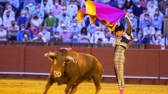 Toros Francia