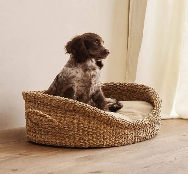 Los dueños de perros con más estilo caerán en la novedad de Zara Home: ¡Su precio es inigualable!
