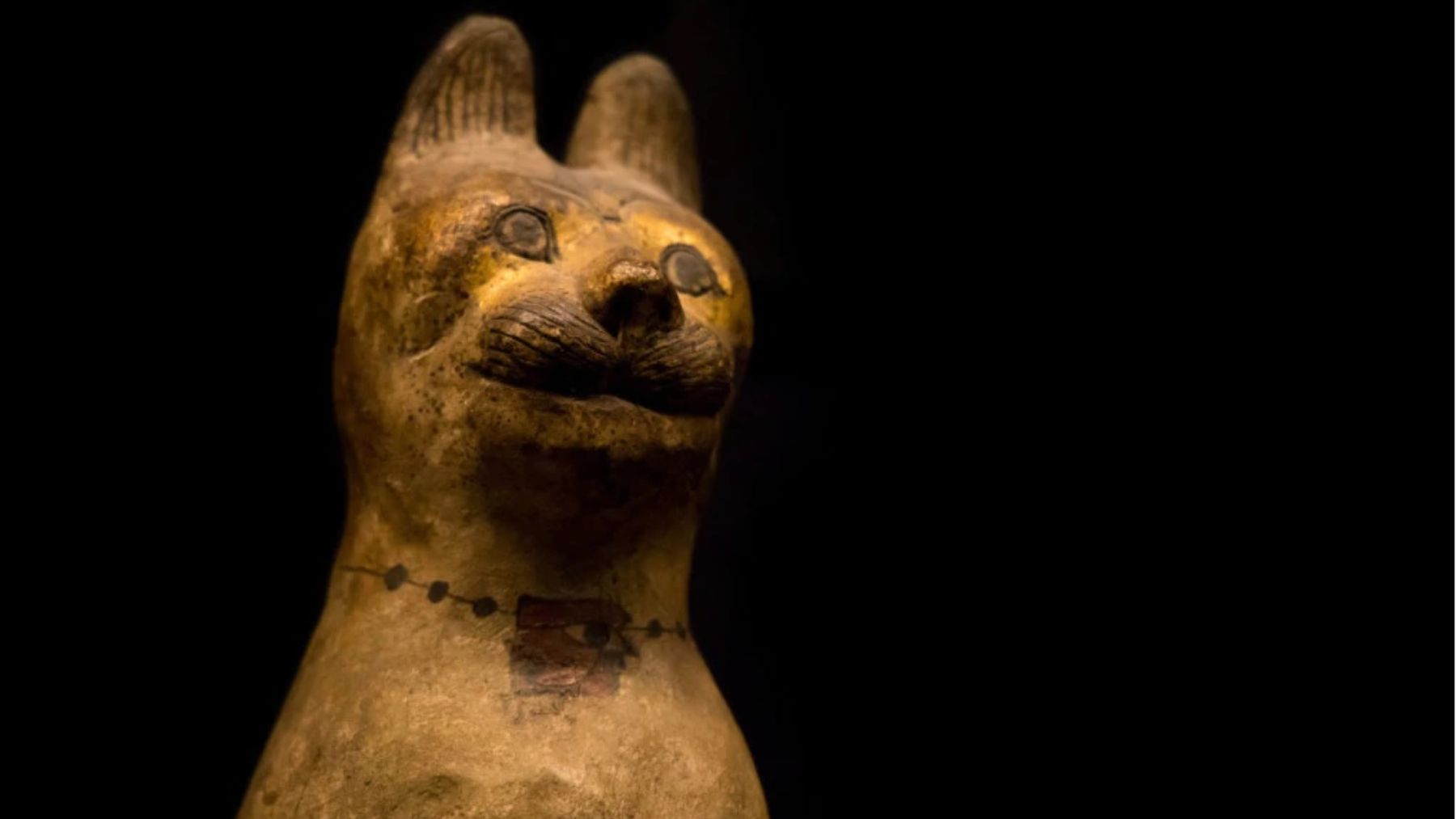 El motivo de las momias de animales en el Antiguo Egipto