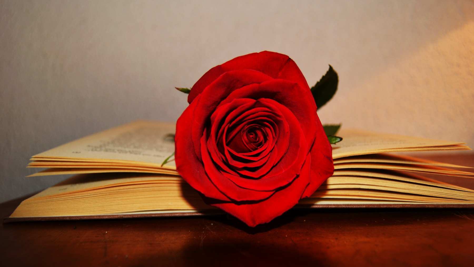 Dulces San Jordi