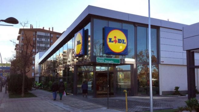 Lidl moscas
