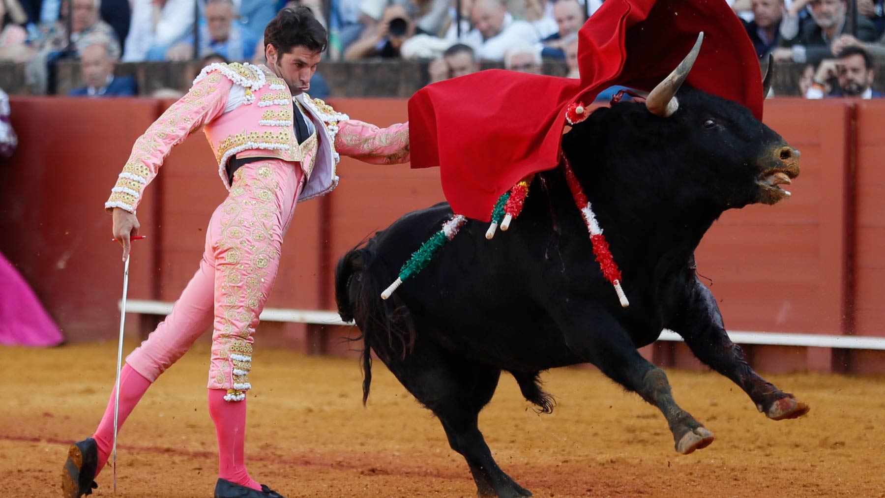 Cayetano hoy en La Maestranza (EFE)