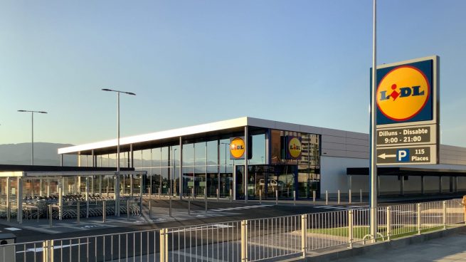 El electrodoméstico de Lidl por menos de 20 euros que está volando de las tiendas