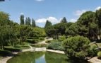 pradera de San Isidro