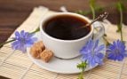 café de achicoria