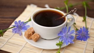 café de achicoria