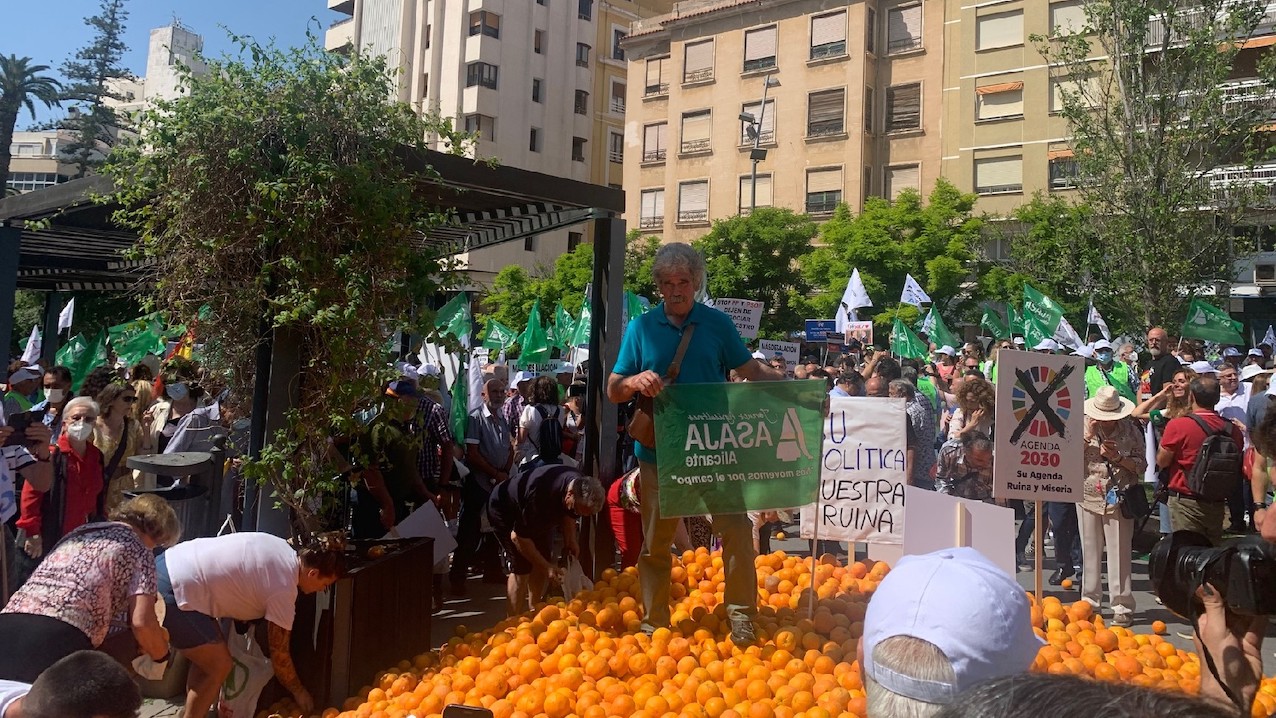 Un manifestante, enarbola una pancarta de ASAJA sobre 5 toneladas de naranjas.
