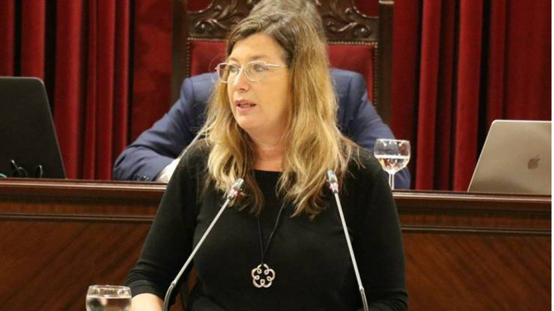 La consellera de Salud, Patricia Gómez, en el Parlament.