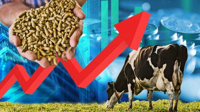 El campo español al límite: el precio de piensos y alimentos para ganado aumentará un 23% en 2022