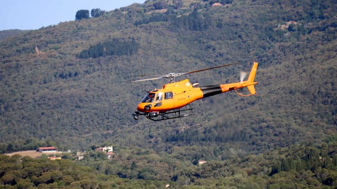 Endesa cuida de los bosques: última tecnología y 65,5 millones para trabajos forestales