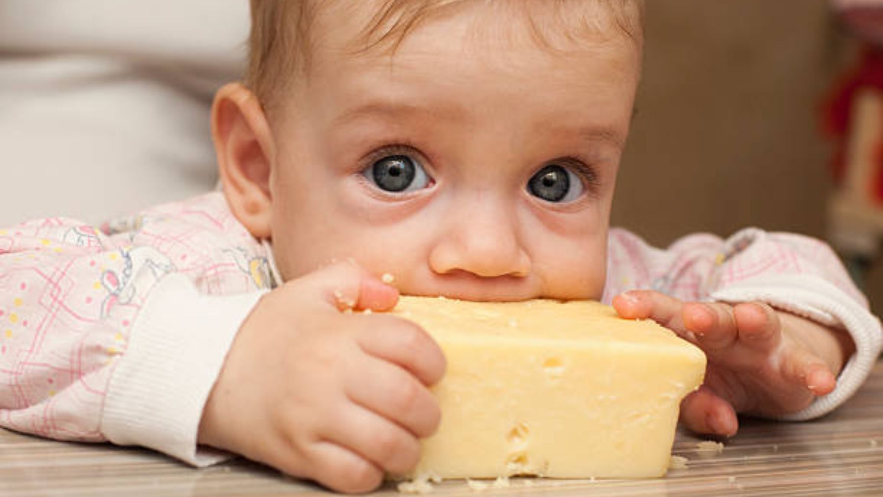 Descubre a partir de qué edad le podemos dar queso a los niños