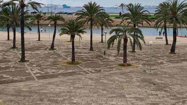 Palma obras Parc de la Mar