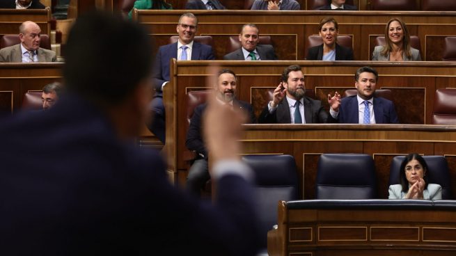 La bancada de Vox observa una intervención de Pedro Sánchez en el Congreso