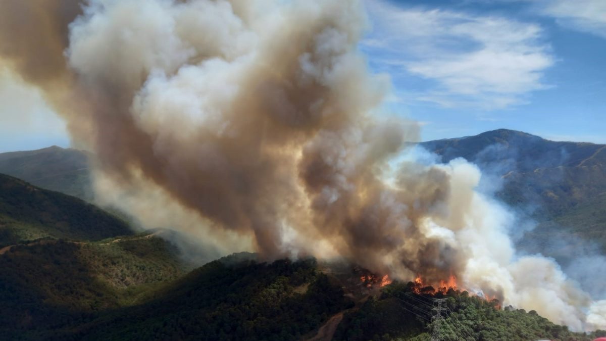 Málaga.- Incendios.- Declarado un incendio forestal en Pujerra