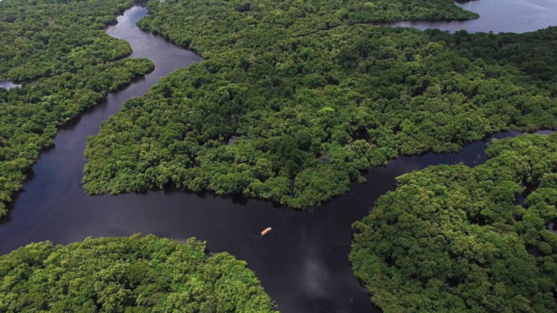 Descubre por qué en el Amazonas no hay puentes