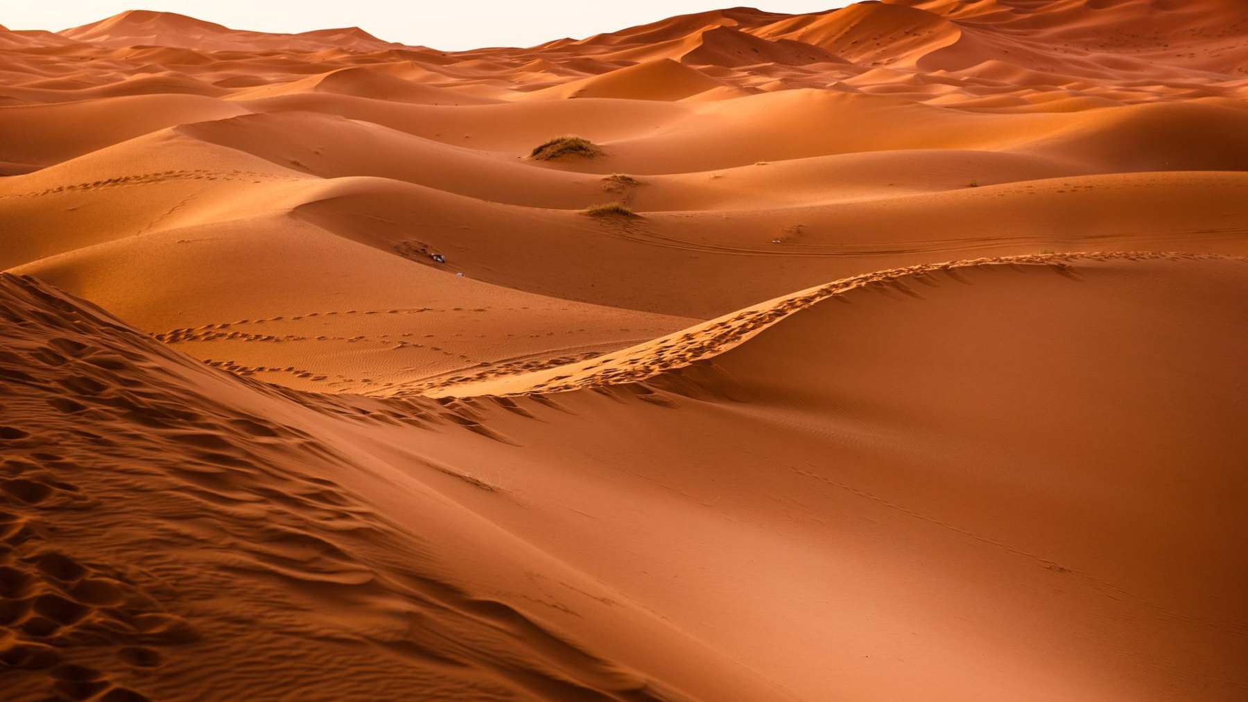 Gel extrae agua potable del aire del desierto