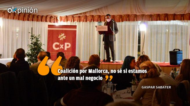 Como los gatos en enero