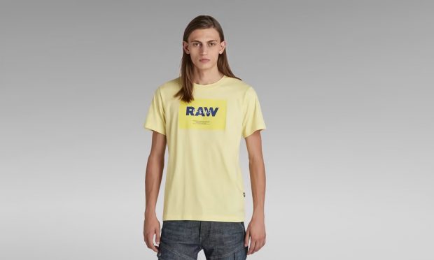 Camiseta Raw HD