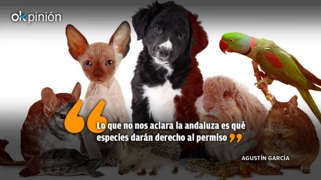 Familias interespecie, 'perrijos' y otras memeces