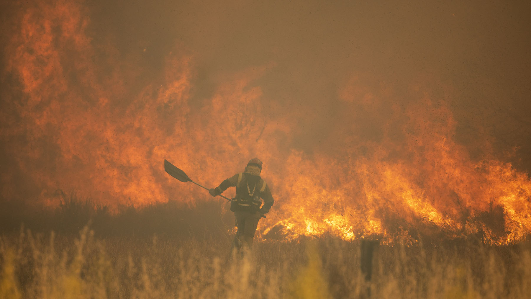 Trabajos para extinguir los incendios en Zamora (Foto: EP).