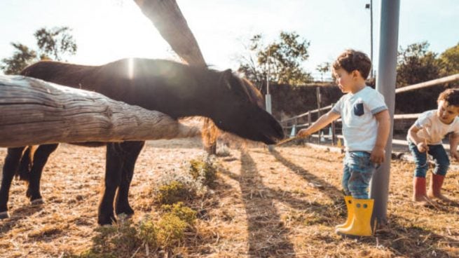 granja niños