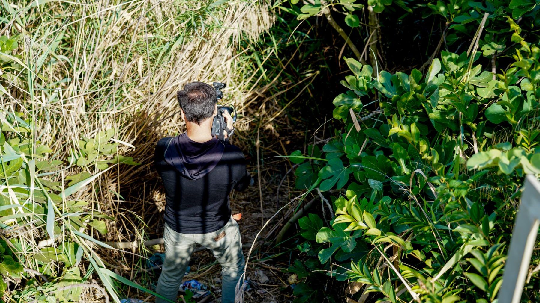 Zona de juncos del río Guadalquivir donde habría sido ocultado el cadáver (EDUARDO BRIONES / EUROPA PRESS).