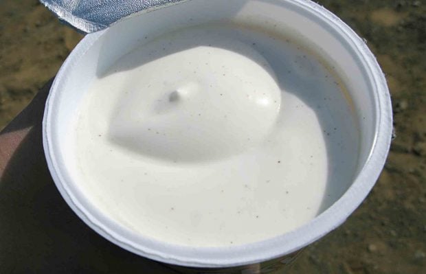 Todos los beneficios del skyr: el lácteo que viene de Islandia
