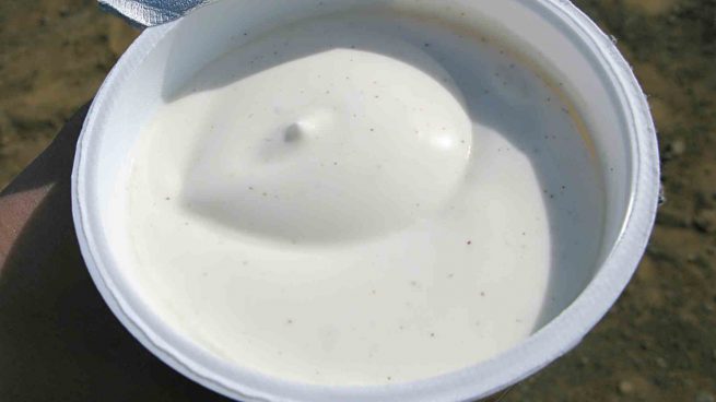 Todos los beneficios del skyr: el lácteo que viene de Islandia