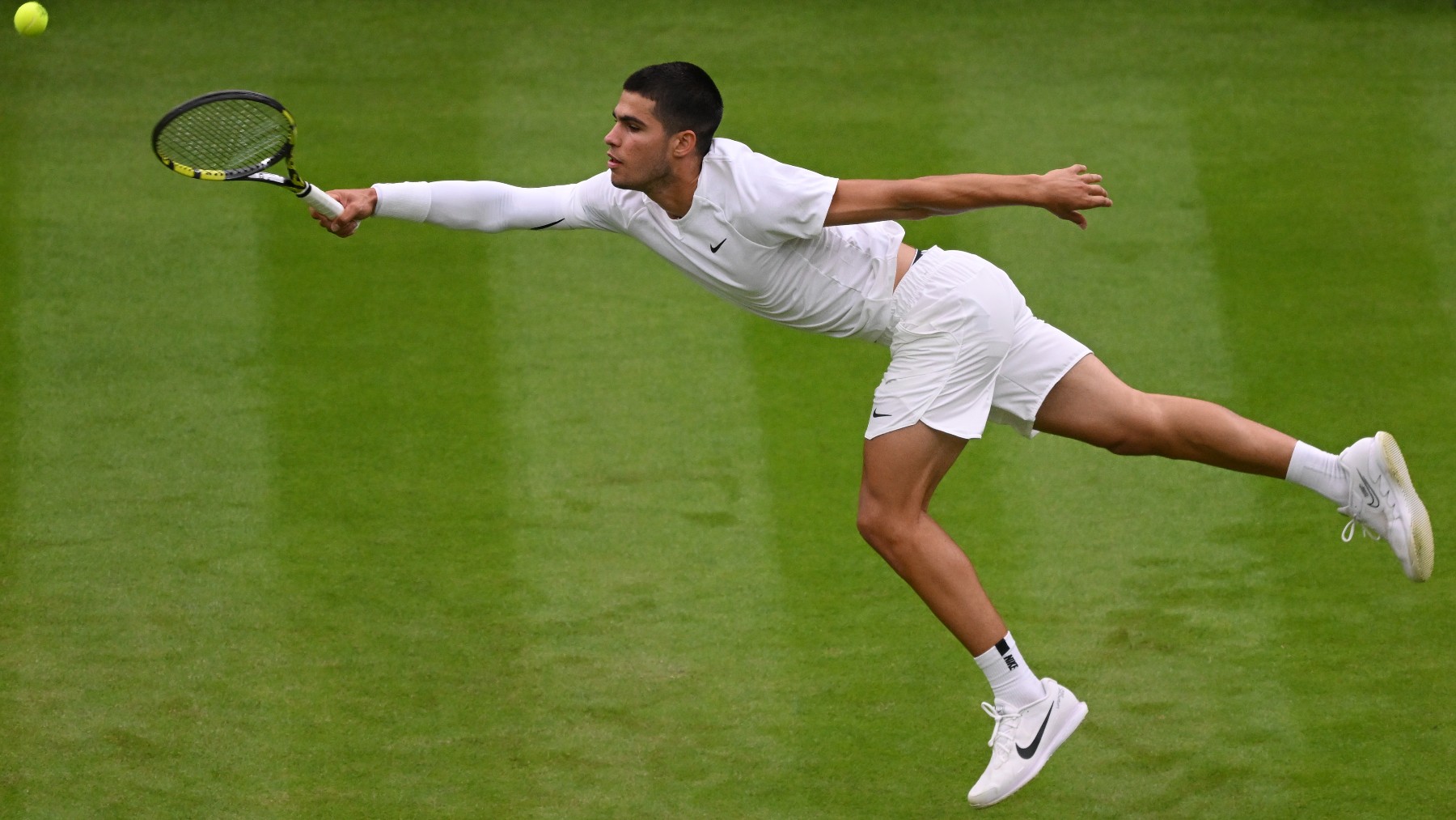 Carlos Alcaraz- Struff, partido de Wimbledon en directo