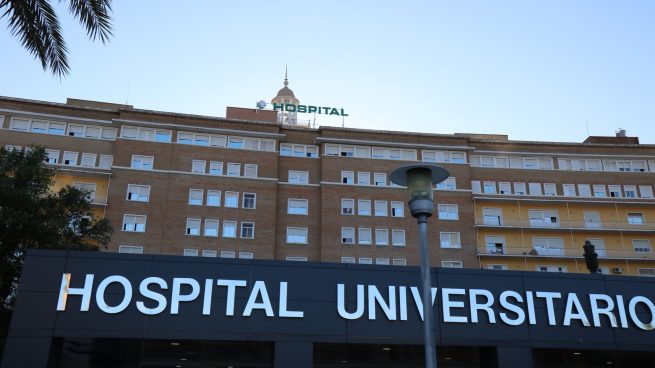 Hospital Universitario Virgen del Rocío de Sevilla (JUNTA DE ANDALUCÍA).