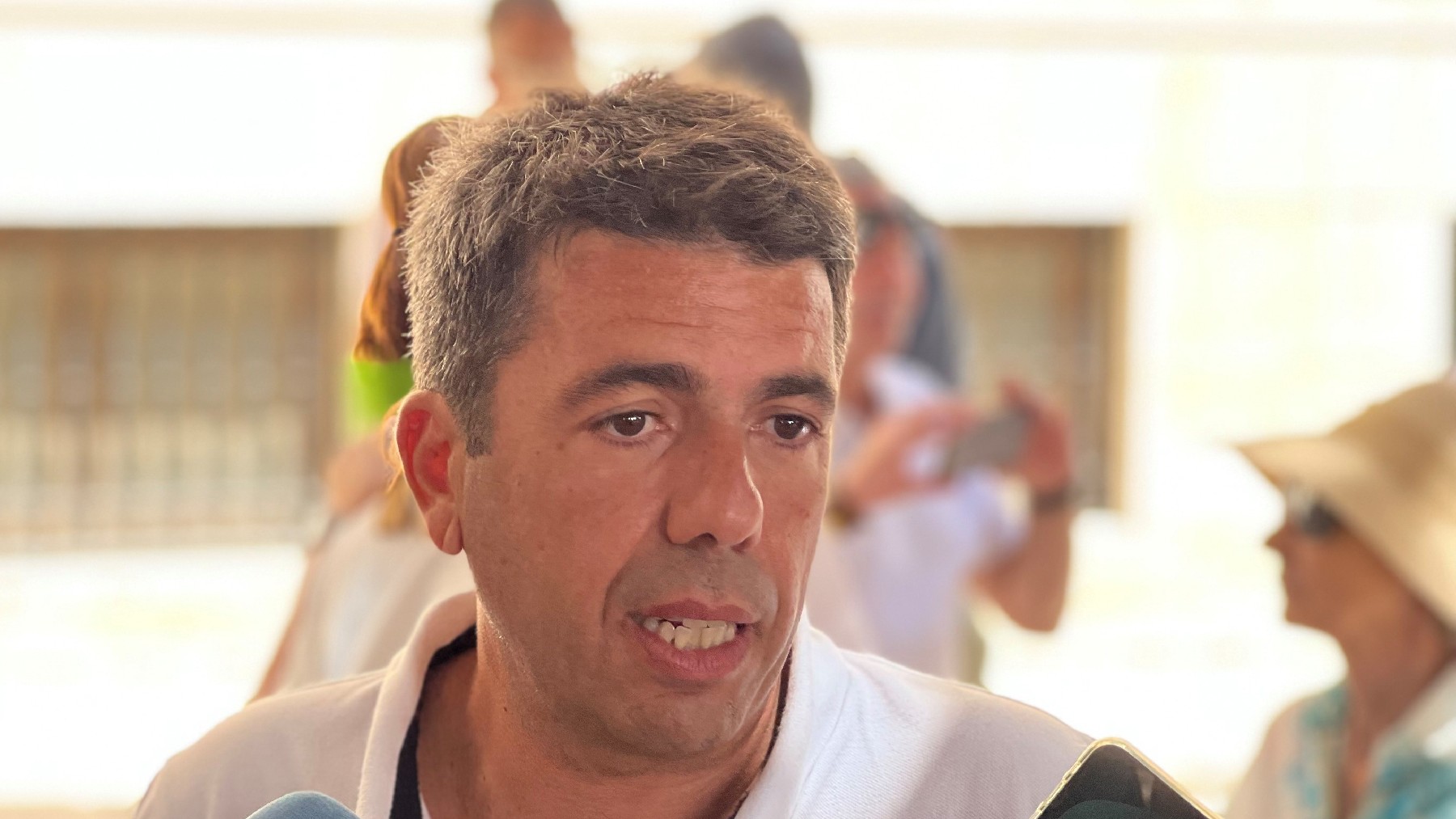 El presidente de la Diputación de Alicante Carlos Mazón.