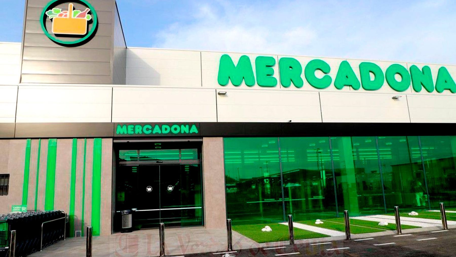 La mejor noticia que nos podía dar Mercadona ha llegado: ¡Te lo contamos todo!