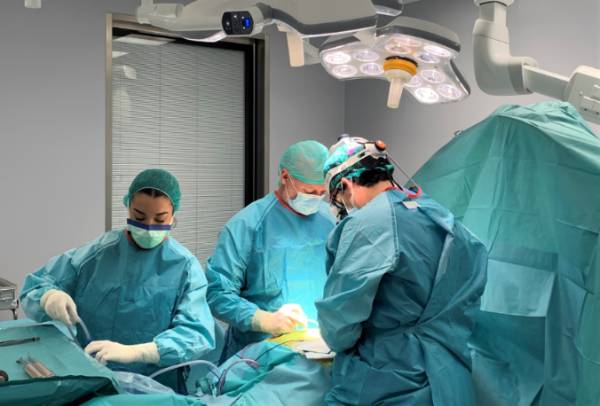 Realizan con éxito un trasplante de riñón de cerdo modificado genéticamente a un hombre en muerte cerebral.