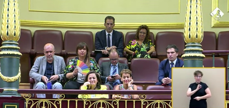 La tribuna de invitados en el pleno de este martes.