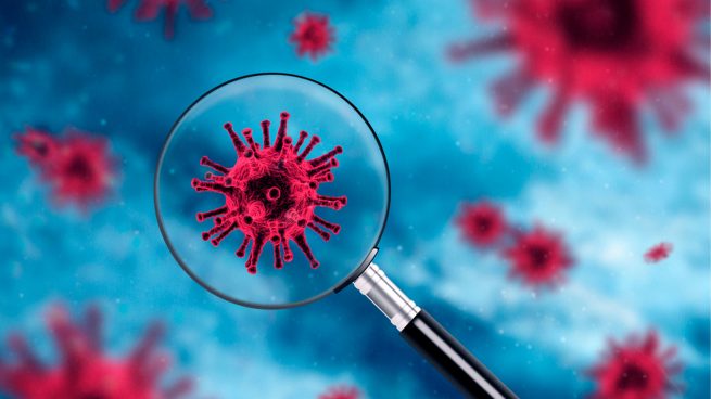 Nueva vía para el desarrollo de antivirales que combatan todos los coronavirus