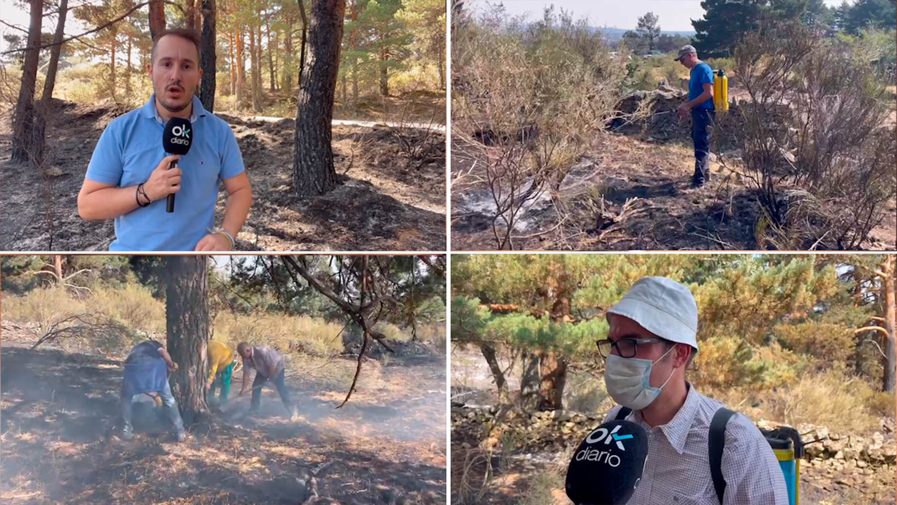 El fuego ha arrasado 1.000 hectáreas en Casas de Miravete.