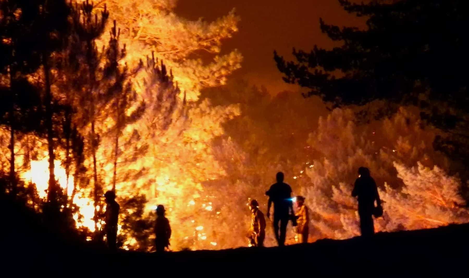 Imágenes de un incendio forestal en Salamanca