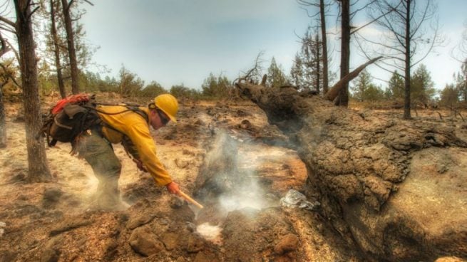 Cómo hacer un cortafuegos forestal