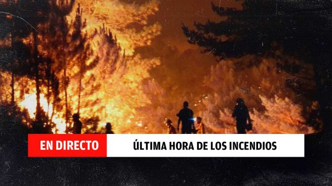 Última hora de los incendios en España, en directo: fuegos activos en Ávila, Cáceres y Zamora