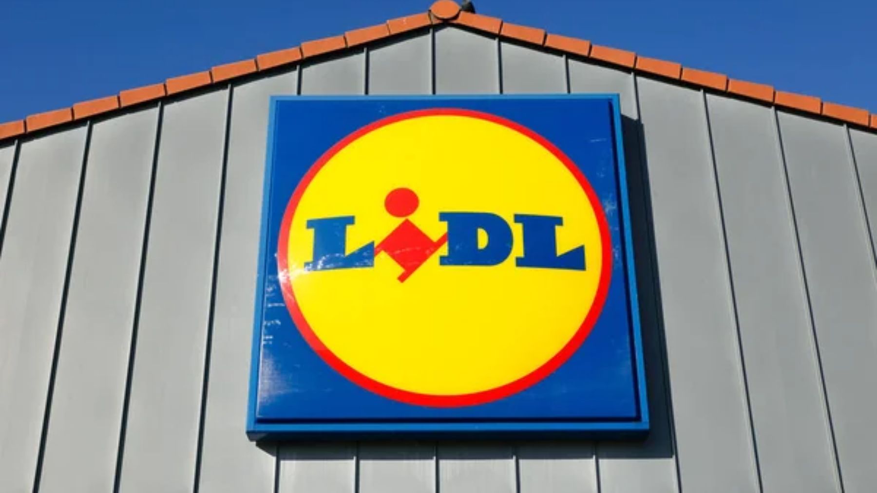barbacoa Lidl