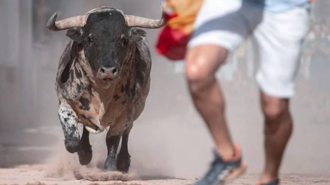 Mueren dos hombres tras ser corneados en festejos taurinos de Valencia