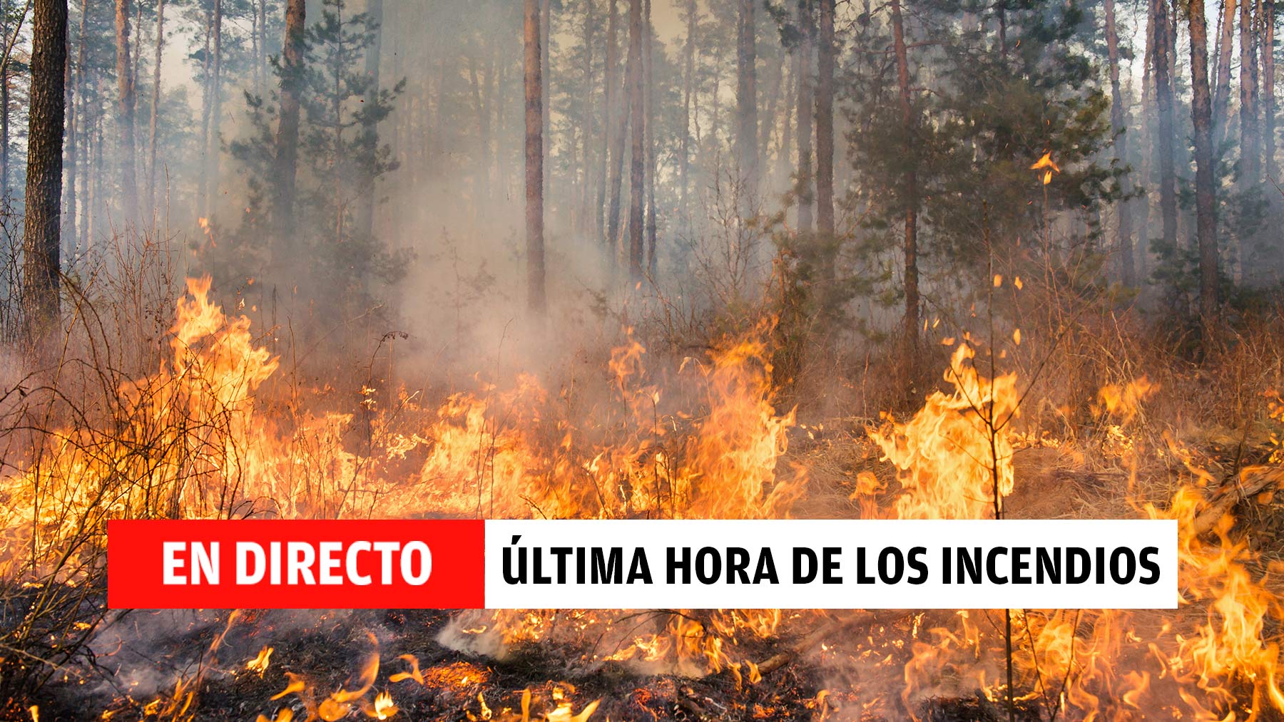 Incendios en España hoy, en directo: última hora de los fuegos activos