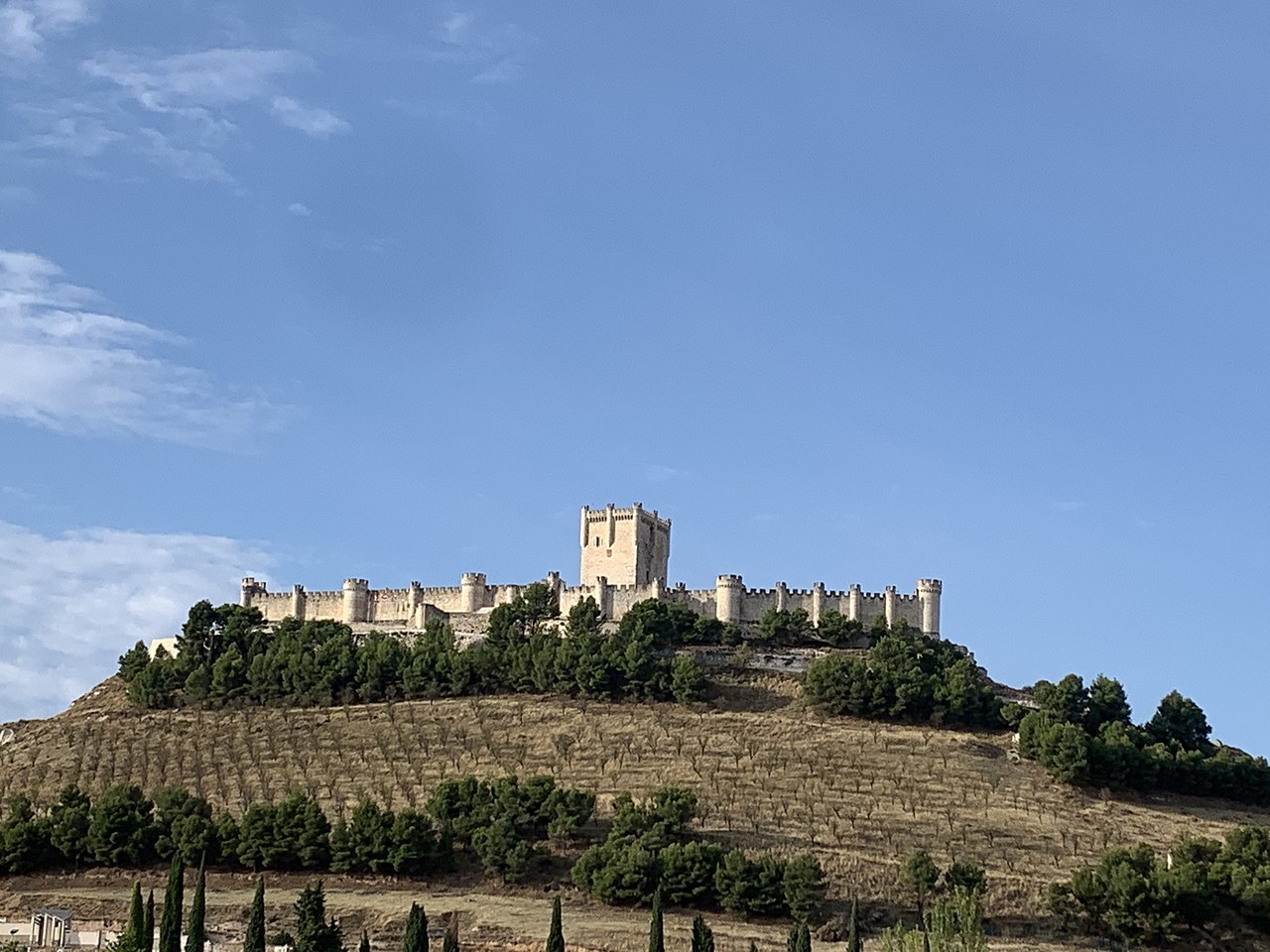 castillo de peñafiel