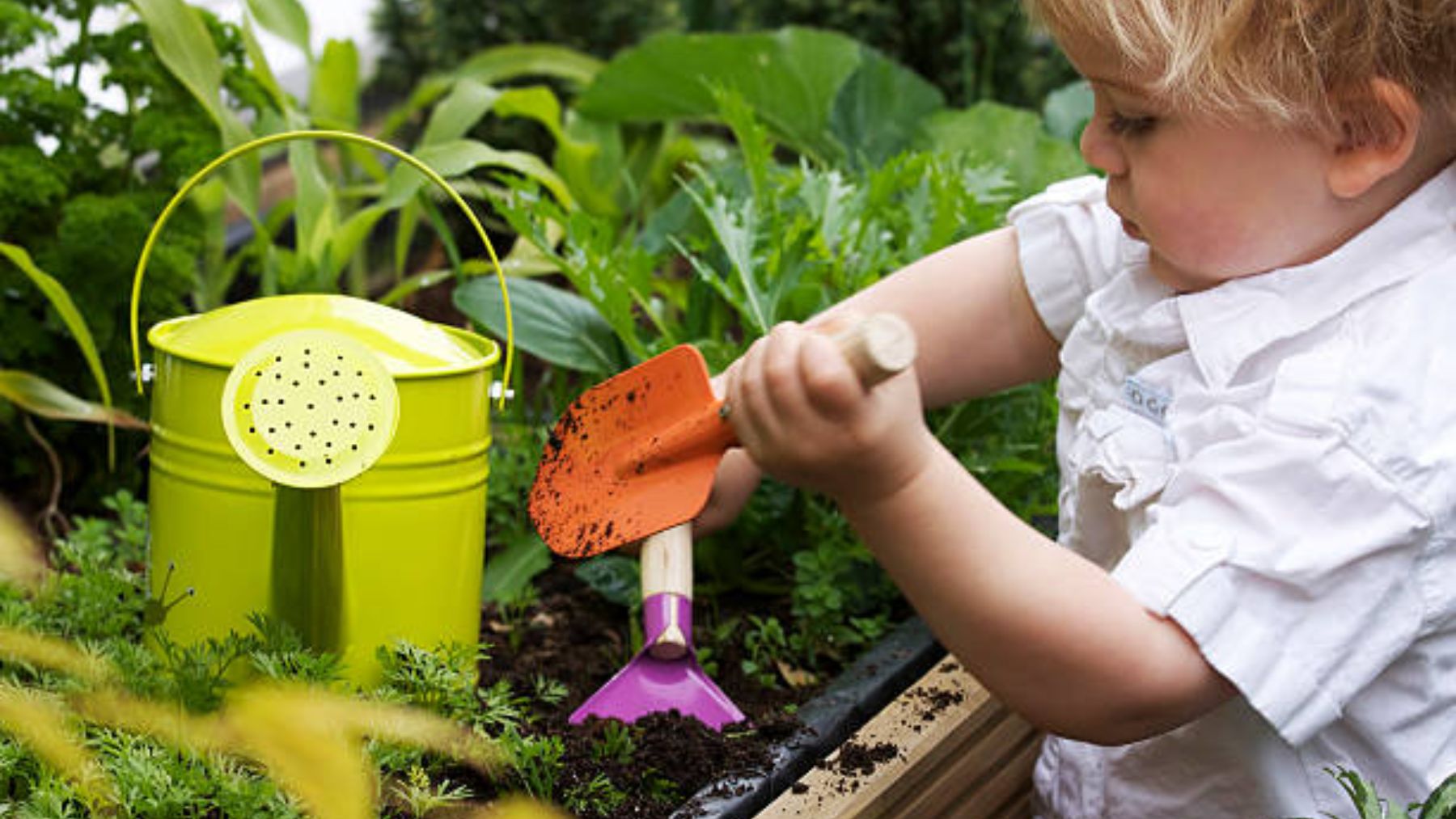 Descubre de qué modo puedes involucrar a los niños en la jardinería