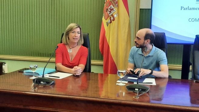 La consellera Patricia Gómez durante su comparecencia en el Parlament.