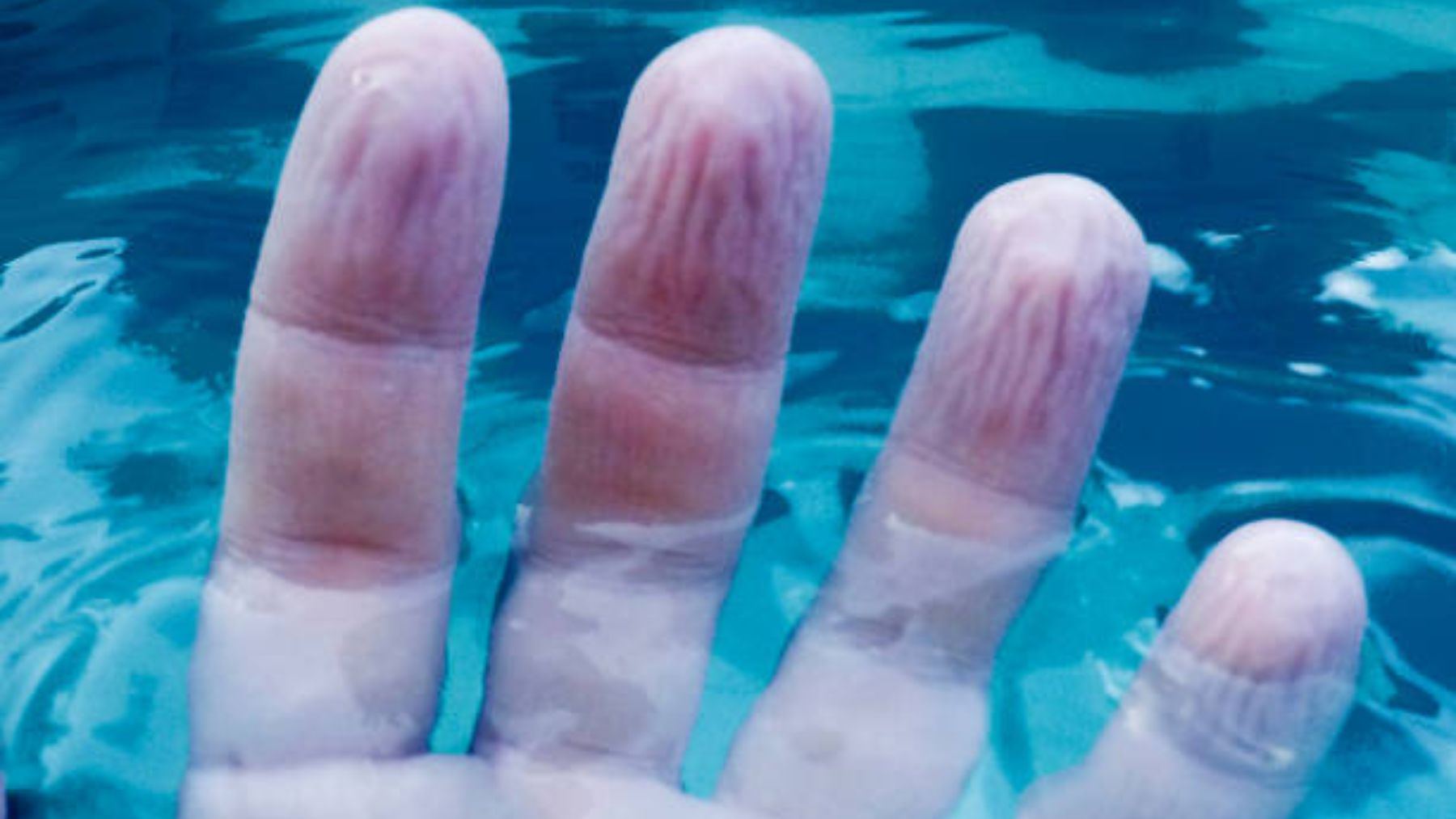 juez portugués robo Por qué se arrugan las yemas de los dedos cuando estás en el agua